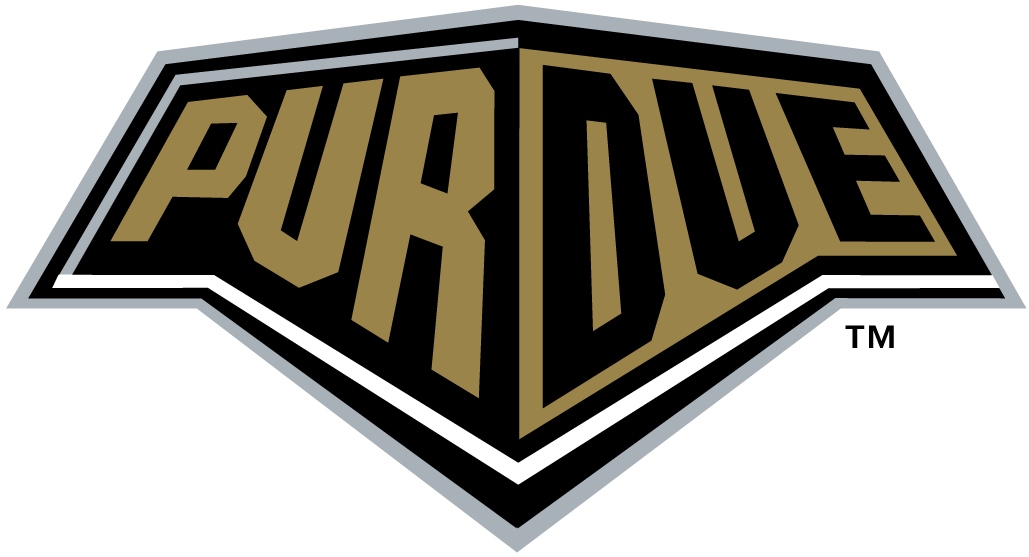 Purdue Boilermakers 1996-2011 Wordmark Logo v5 diy fabric transfer